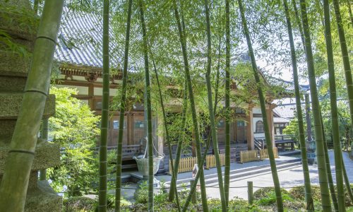 Shifuku temple - bamboo